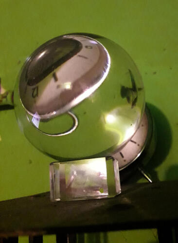 Foto Marcello Capellaro.