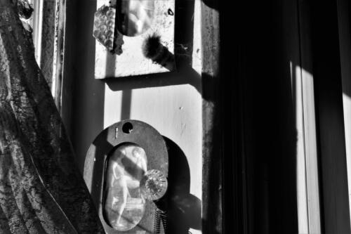 Foto: Araceli Laura Acosta.